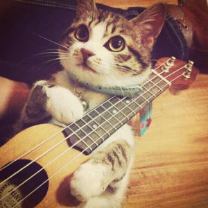 中国好黄站免费下载安装
