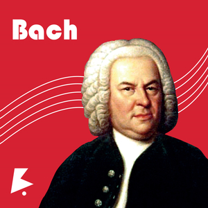 中国好黄站免费下载安装
